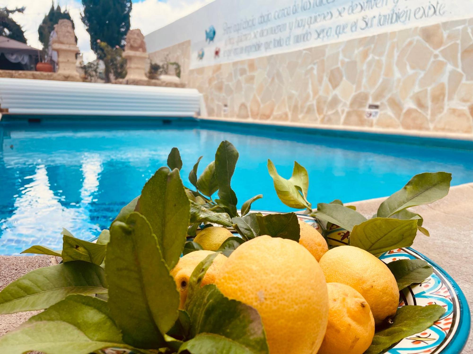 Authentic Canary Style Villa With Private Pool And Garden- Casa Juan Vera Granadilla De Abona Exterior foto